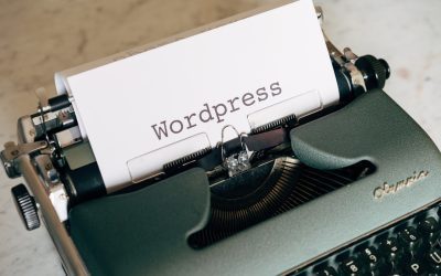 Pourquoi les thèmes WordPress personnalisés sont plus adaptés pour votre entreprise ?