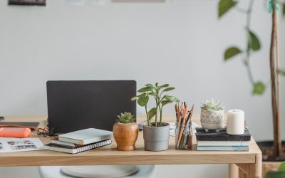 Pourquoi engager un Freelance Web ?